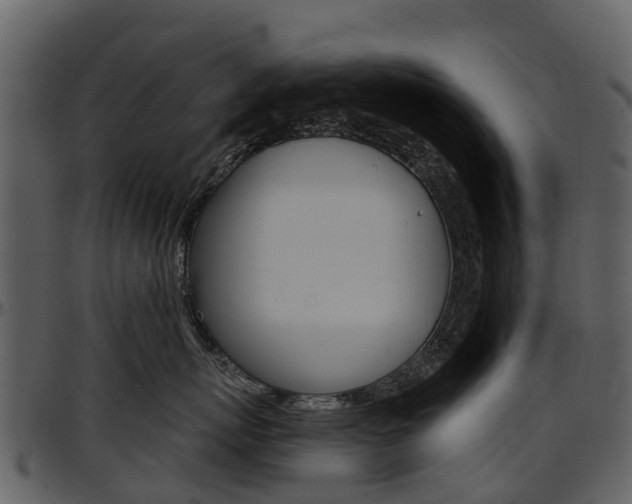 X0000097650767200802290846