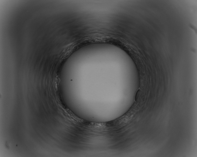 X0000097650768200802290846