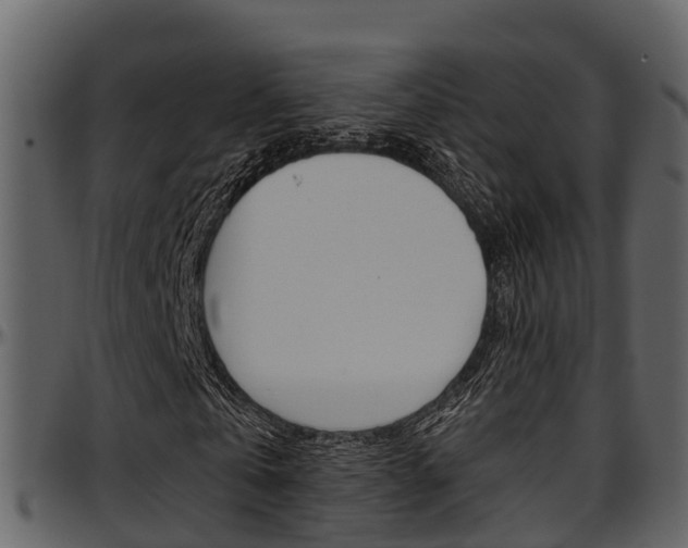 X0000097650769200802290845