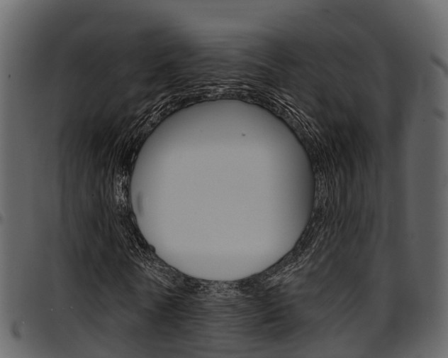 X0000097650770200802290845