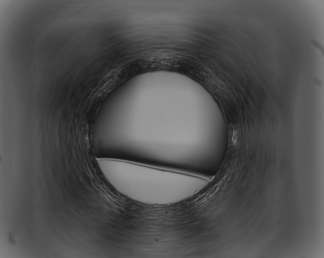 X0000097650771200802290845