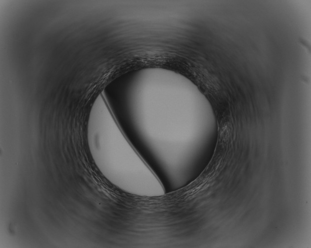 X0000097650772200802290845