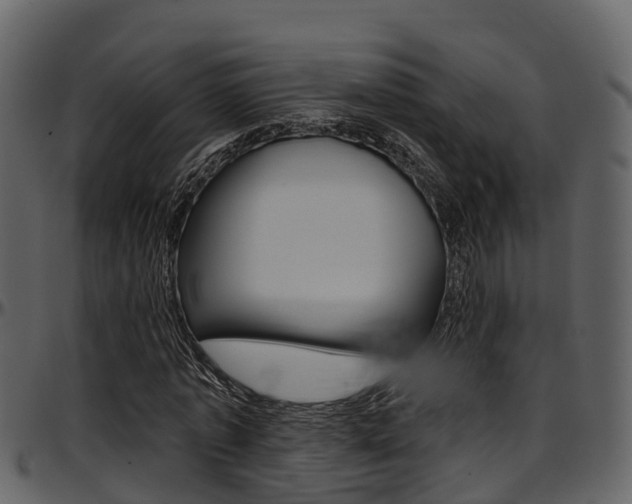 X0000097650773200802290845