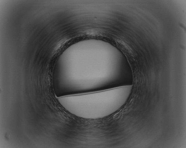 X0000097650776200802290845