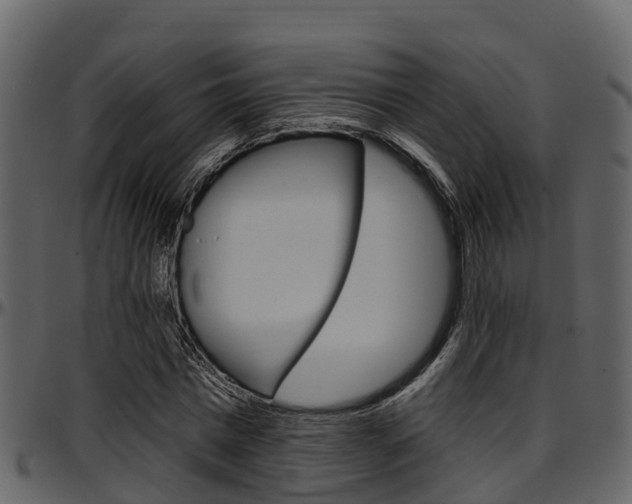 X0000097650777200802290845