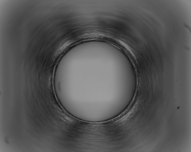 X0000097650778200802290845