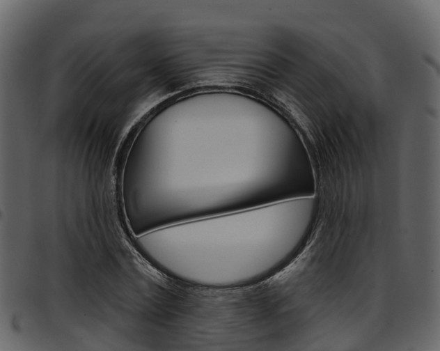 X0000097650779200802290845