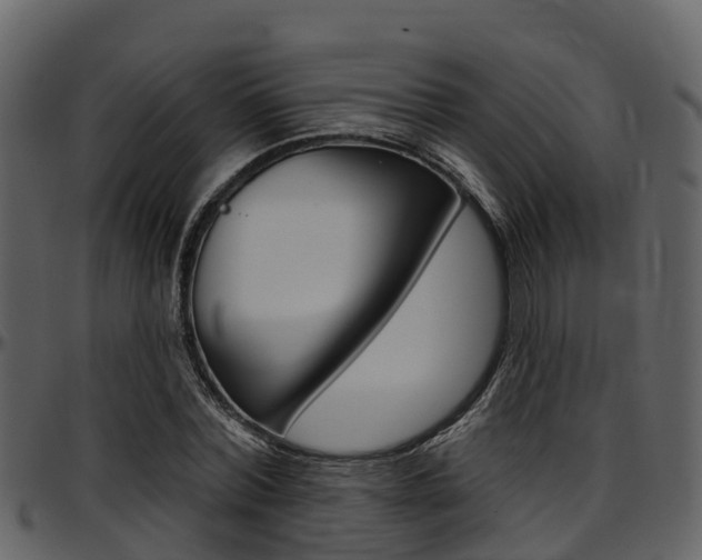 X0000097650780200802290845