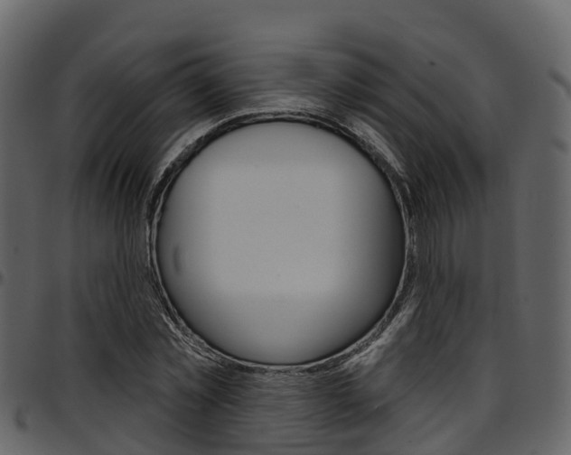 X0000097650781200802290845