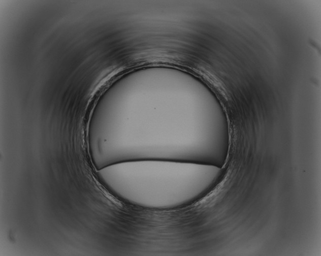 X0000097650782200802290845
