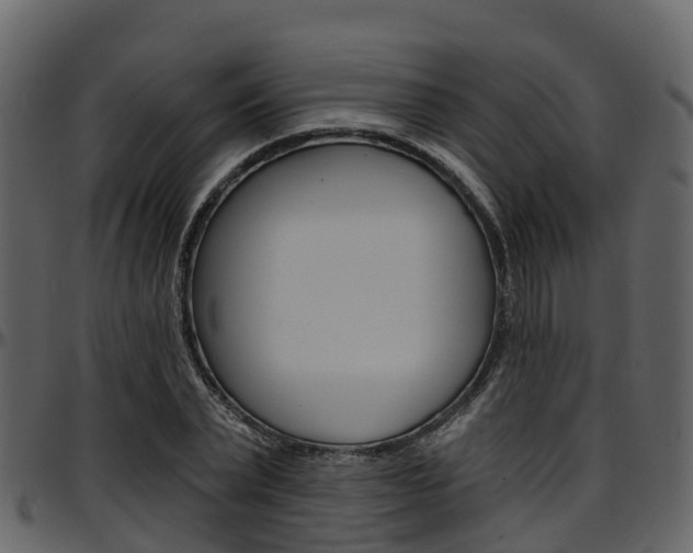 X0000097650783200802290845