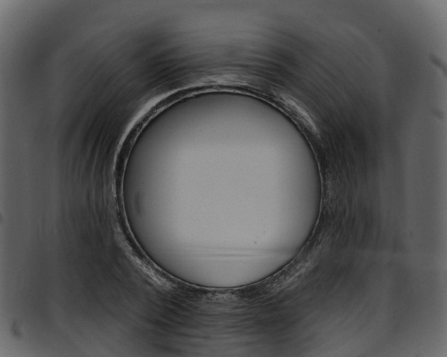 X0000097650784200802290845
