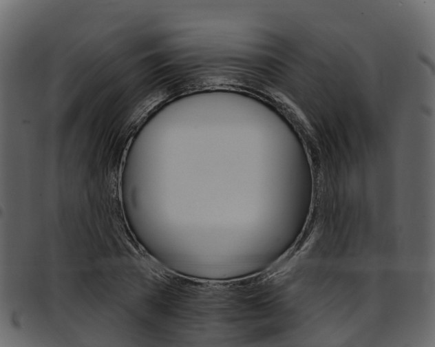 X0000097650785200802290845
