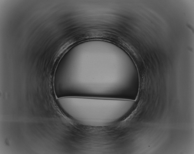 X0000097650786200802290845