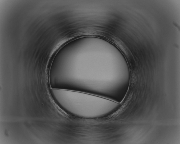 X0000097650787200802290845