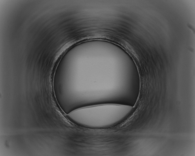 X0000097650789200802290845