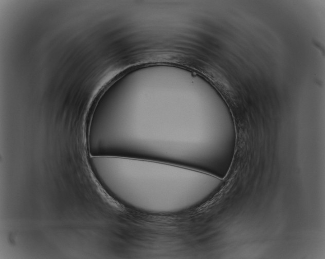 X0000097650792200802290845