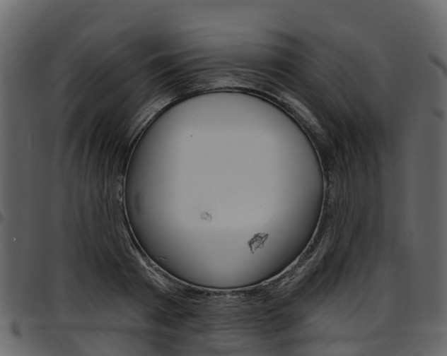 X0000097650793200802290845