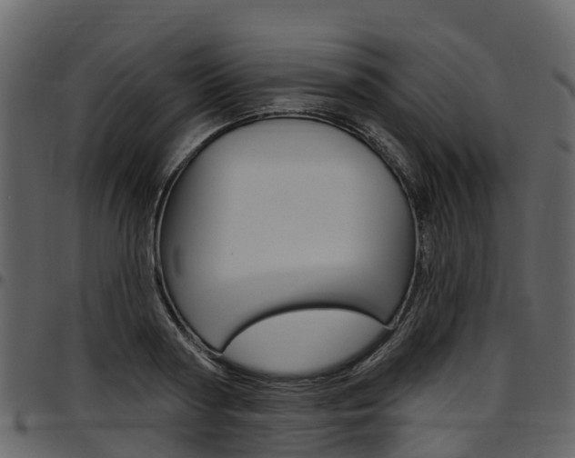 X0000097650794200802290845