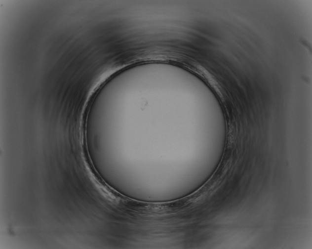 X0000097650795200802290845