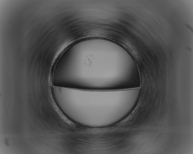 X0000097650796200802290845