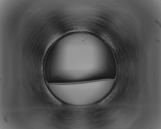 X0000097650797200802290845