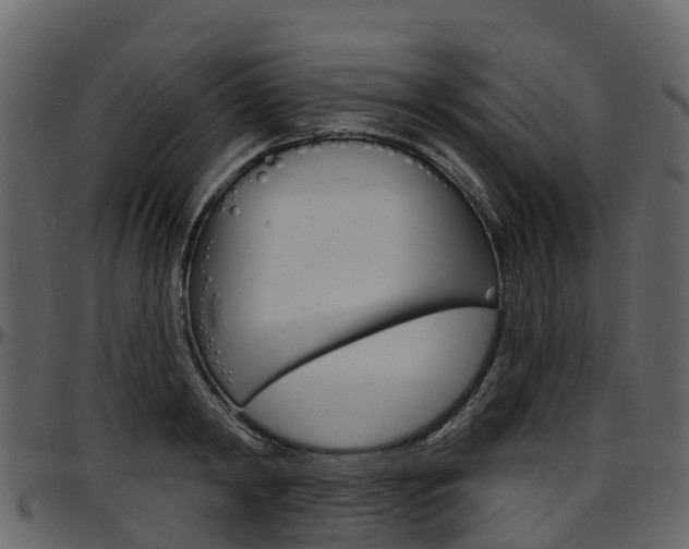 X0000097650798200802290845