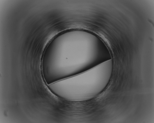X0000097650799200802290845