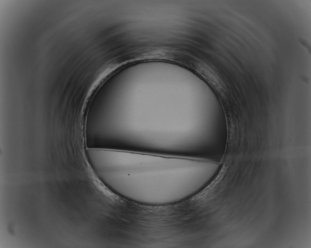 X0000097650800200802290845