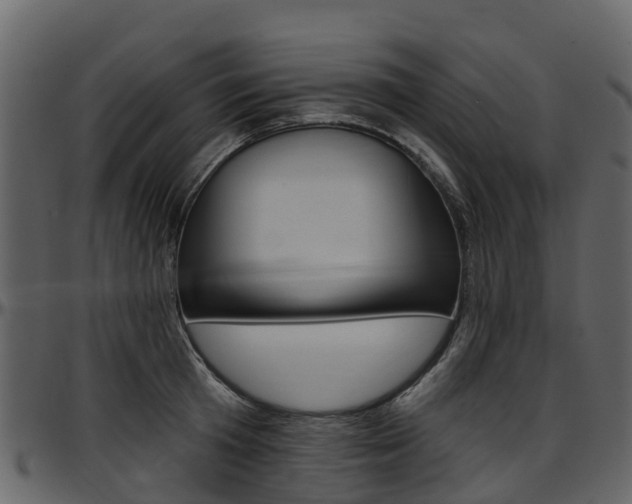 X0000097650801200802290845