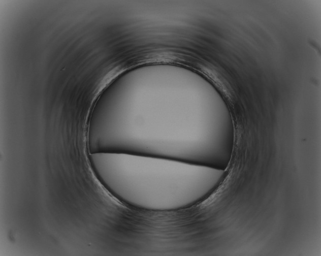 X0000097650802200802290845