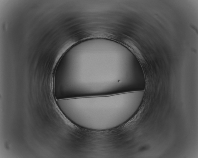X0000097650804200802290845