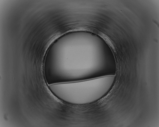 X0000097650805200802290845
