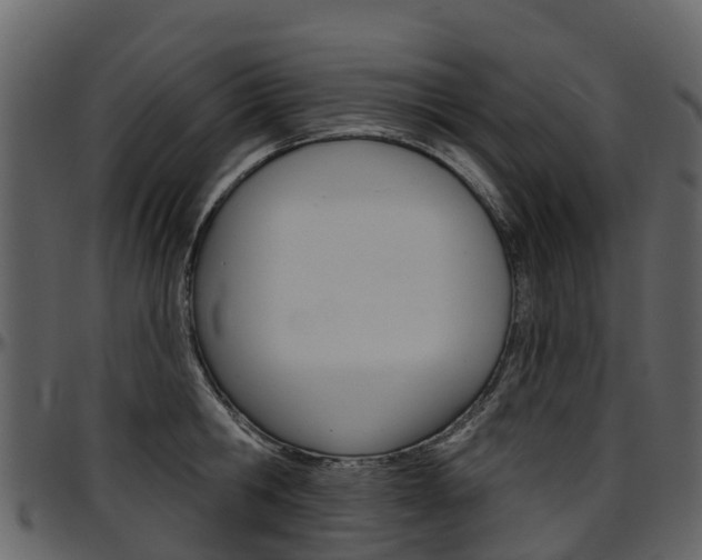 X0000097650806200802290845