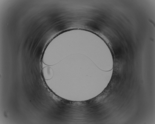 X0000097650807200802290845