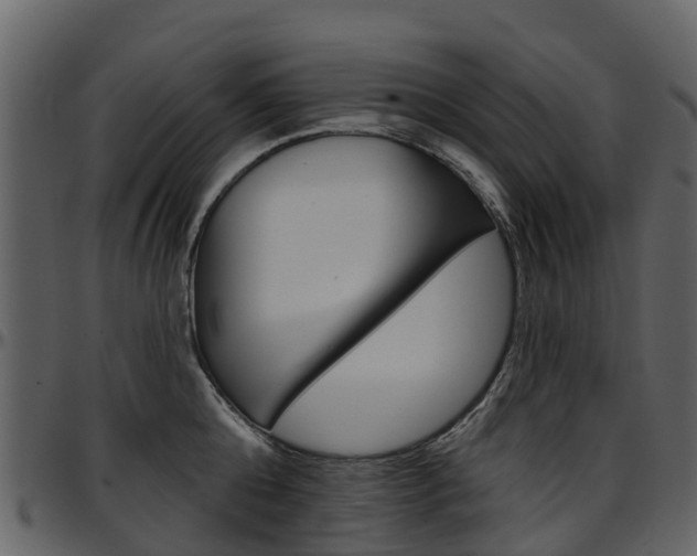 X0000097650808200802290845