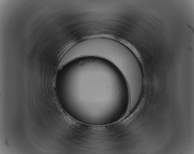 X0000097650809200802290845
