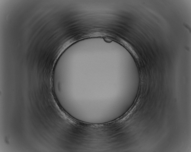 X0000097650810200802290845