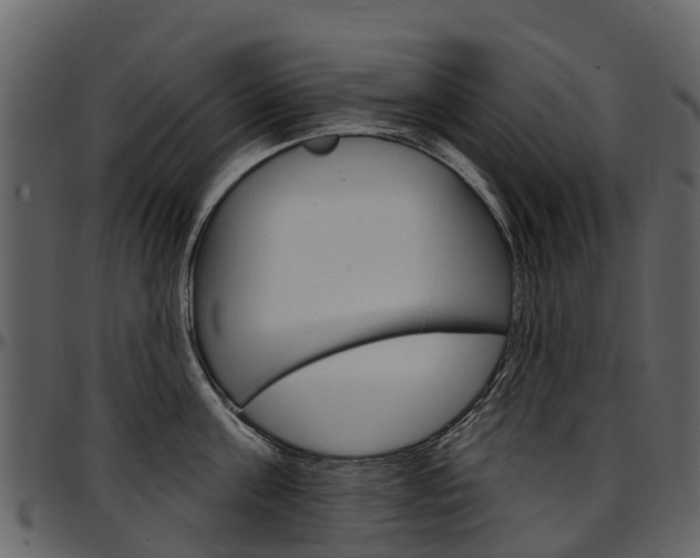 X0000097650811200802290845