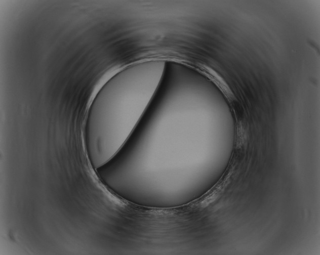 X0000097650812200802290845