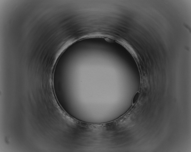 X0000097650813200802290845