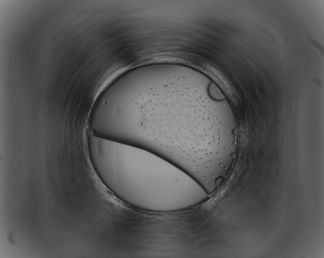 X0000097650814200802290845