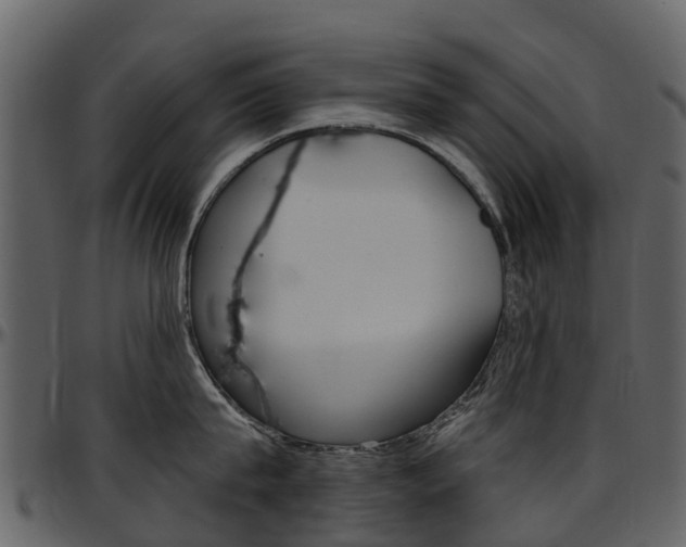 X0000097650815200802290845