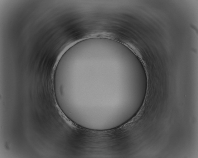 X0000097650816200802290845