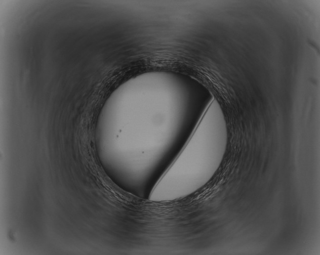 X0000097650817200802290844