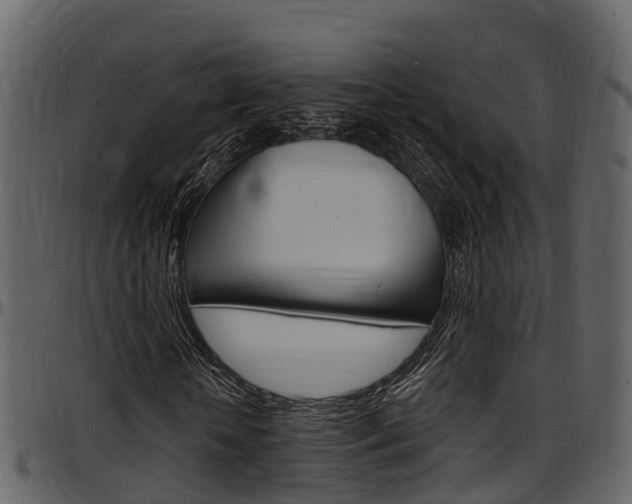X0000097650818200802290844