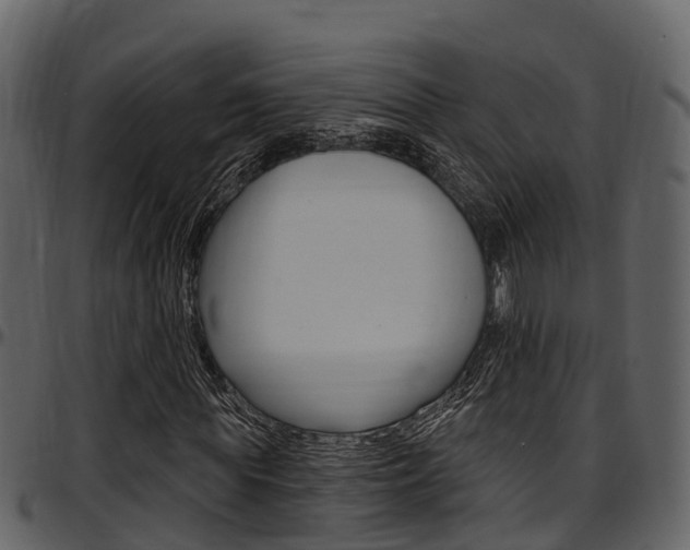 X0000097650819200802290844