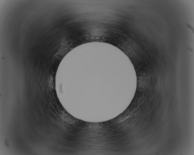X0000097650820200802290844