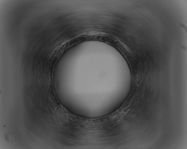 X0000097650821200802290844