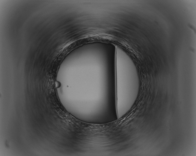 X0000097650822200802290844